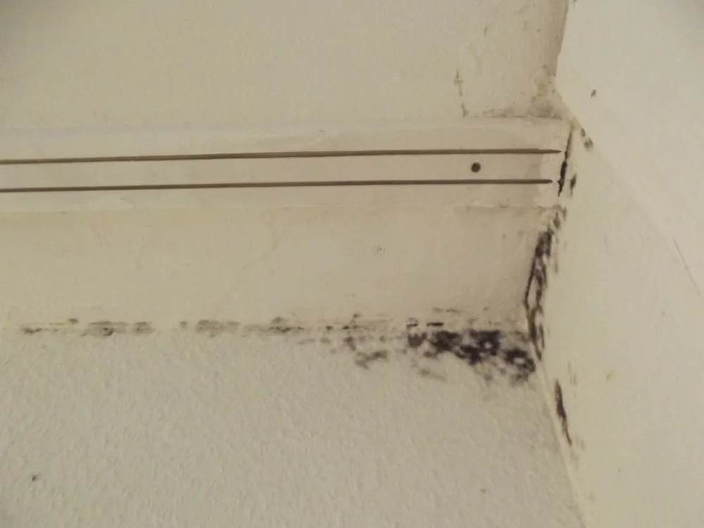 Technician in protective gear removing a mold-damaged wall in a Lucerne Valley home